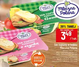 Polomarket Mleczna Polana Ser topiony w kubku oferta