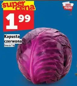 Topaz Kapusta czerwona oferta