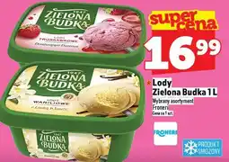 Topaz Lody Zielona Budka 1 L oferta