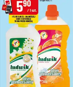 Polomarket Płyn Ludwik uniwersalny oferta