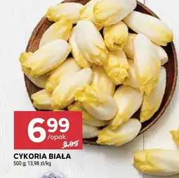 Stokrotka Cykoria biała oferta