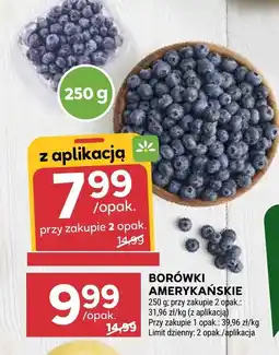 Stokrotka Borówki amerykańskie oferta