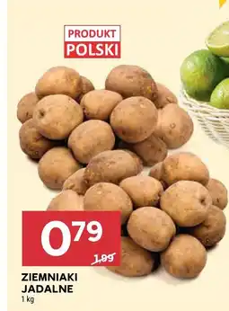 Stokrotka Ziemniaki jadalne oferta