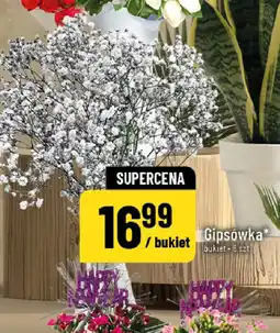 Polomarket Gipsówka oferta