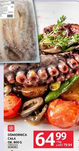 Selgros Ośmiornica cała ok oferta
