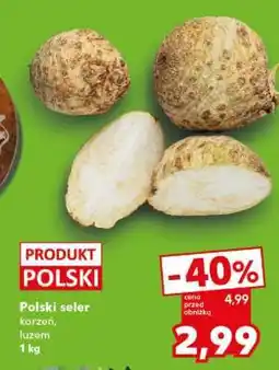Kaufland Polski seler oferta