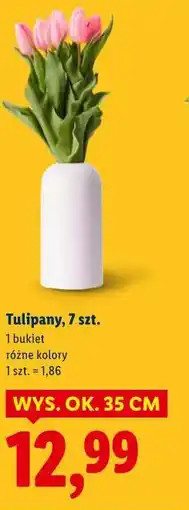 Lidl Tulipany, 7 szt oferta