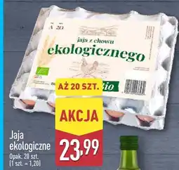 ALDI Jaja ekologiczne z chowu ekologicznego oferta