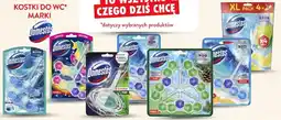 Intermarche Produkty do WC marki Domestos oferta