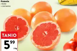 Intermarche Grapefruit czerwony oferta