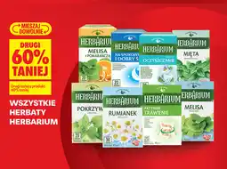 Biedronka Wszystkie herbaty Herbarium oferta