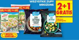 Biedronka Wszystkie zupy mrożone (różne smaki) oferta