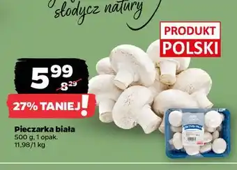 Netto Pieczarki białe Z Zieleniaka Netto oferta