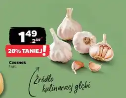 Netto Czosnek oferta
