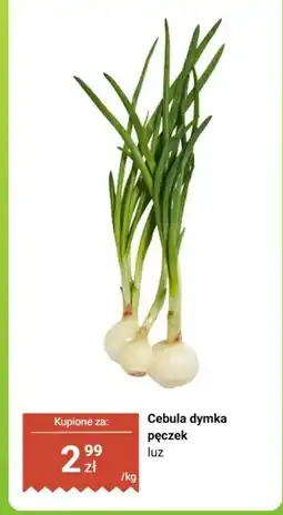 Biedronka Cebula dymka pęczek luz oferta