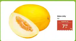 Biedronka Melon żółty luz oferta