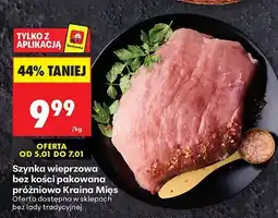 Biedronka Papiery toaletowe Queen różne rodzaje oferta