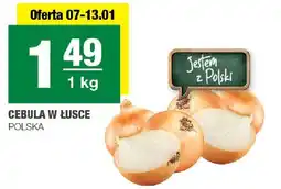 Spar Cebula w łusce Polska oferta