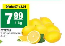 Spar Cytryna Turcja/Hiszpania/Egipt oferta
