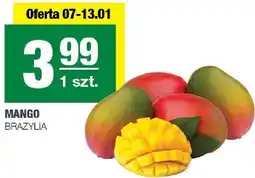 Spar Mango Brazylia oferta