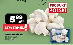 Netto Pieczarka biała 500 g, 1 opak oferta