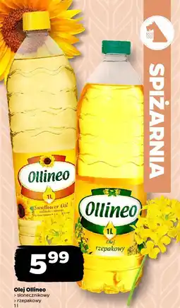 Netto Olej Ollineo słonecznikowy i rzepakowy oferta