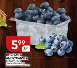 Chata Polska Borówka amerykańska oferta