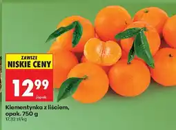 Biedronka Papiery toaletowe Queen różne rodzaje drugi -50% oferta