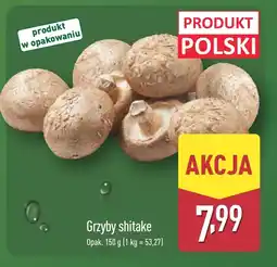 ALDI Grzyby Katarzyna Stoparczyk oferta