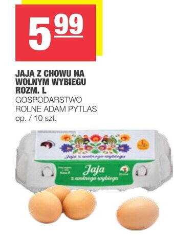 Spar Jaja z chowu na wolnym wybiegu rozmiar L 10szt. oferta
