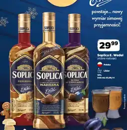 Netto Soplica E. Wedel (różne rodzaje) oferta