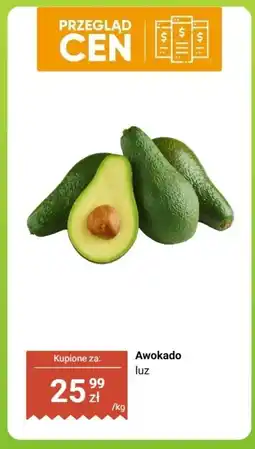 Dino Awokado luz oferta