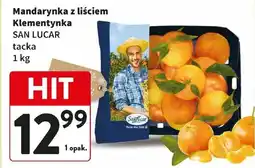 Intermarche Mandarynka oferta