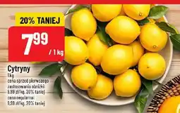 Polomarket Cytryny oferta