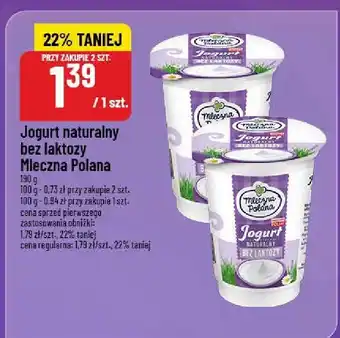 Polomarket Jogurt naturalny bez laktozy Mleczna Polana oferta