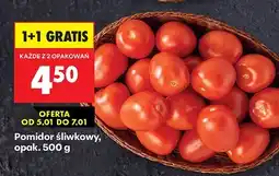 Biedronka Pomidor śliwkowy oferta