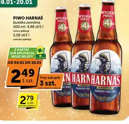 Groszek Piwo Harnaś oferta
