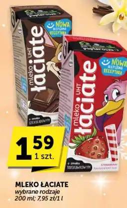 Groszek Mleko Laciate oferta