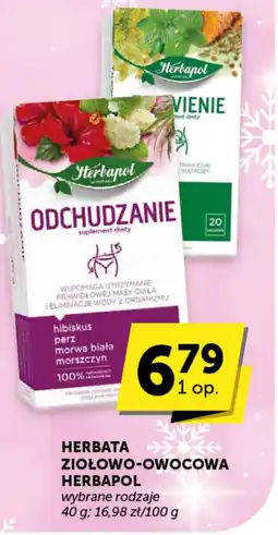 Groszek Herbatapol herbata ziołowo-owocowa oferta