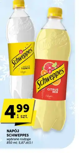 Groszek Napój Schweppes oferta