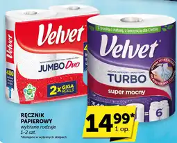 Groszek Velvet ręcznik papierowy oferta