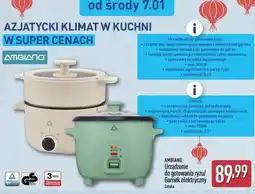 ALDI Garnek elektryczny Ambiano oferta