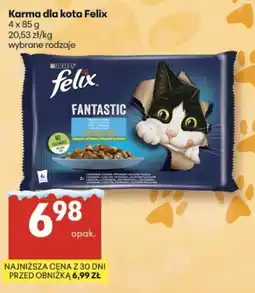 Delikatesy Centrum Felix Karma dla kota oferta