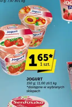 Groszek Mlekpol Jogurt oferta