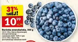 Twój Market Borówka amerykańska oferta