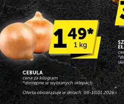Groszek Cebula oferta