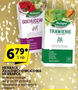 Groszek Herbata ziołowo-owocowa Herbapol wybrane rodzaje oferta