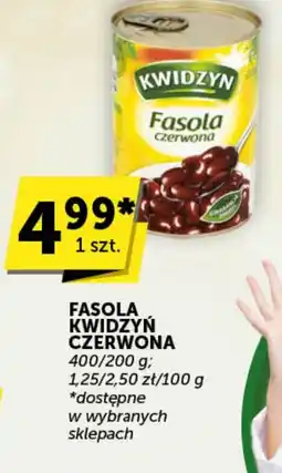 Groszek Fasola Kwidzyń czerwona oferta