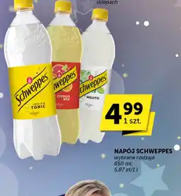 Groszek Napój Schweppes oferta