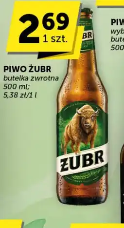 Groszek Piwo Zubr oferta